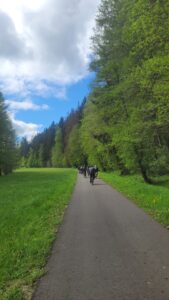 Radfahrer auf dem Radweg in Viernau auf höhe der alten Schanze / Radtour 2025